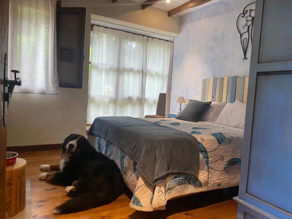 Posada Pet Friendly El Molino De Cantabria Entrambasaguas  Esterno foto