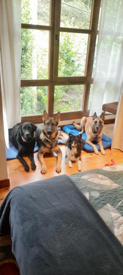 Posada Pet Friendly El Molino De Cantabria Entrambasaguas  Esterno foto