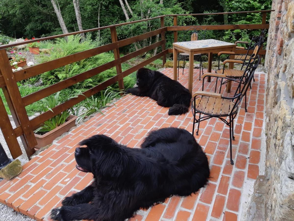 Posada Pet Friendly El Molino De Cantabria Entrambasaguas  Esterno foto